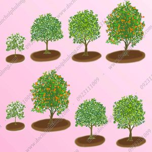 Bộ rèn luyện kỹ năng toán 81 chi tiết PL30RLKNT 11 Bo-ren-luyen-ky-nang-toan-81ct-pl30rlknt (3)
