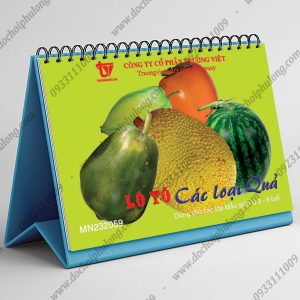 Lô tô mầm non - 14 chủ đề theo Thông tư 02 25 MN232059-cac-loai-qua