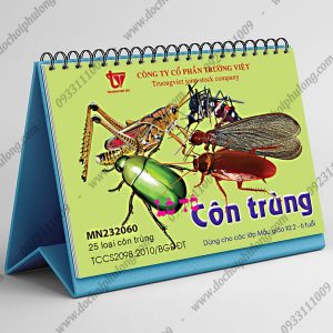 MN232060-con-trung