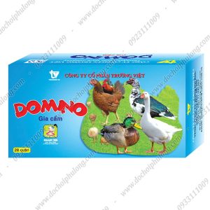 domino-giay-gia-cam