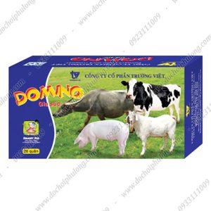 domino-giay-gia-suc