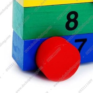 dong-ho-hoc-so-lap-rap-5-thanh-go-pl30dhlr5 (2)